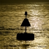 Photographie dart : Balise en contre-jour - Galerie photos Seaside