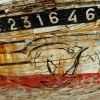 231646