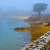 Brouillard sur Port Leen